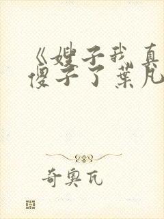 《嫂子我真不是傻子了叶凡》封面