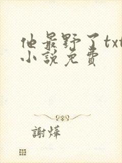 他最野了txt小说免费