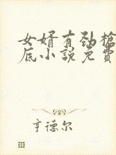 女婿有劲枪枪到底小说免费阅读封面