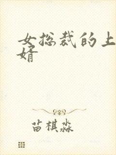女总裁的上门女婿封面