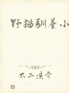 野猫驯养小说