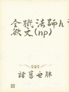 全职法师h荤肉欲文(np)