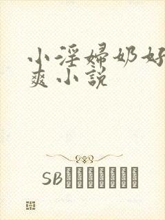 小淫妇奶好大好爽小说