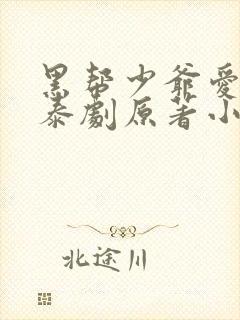 黑帮少爷爱上我泰剧原著小说