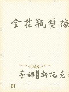 金花瓶双梅花3封面