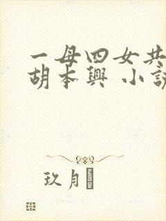 一母四女共一婿胡本兴 小说