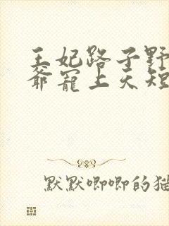 王妃路子野,王爷宠上天短剧封面