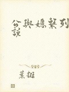 公与媳系列 小说