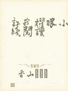 许我耀眼小说在线阅读封面