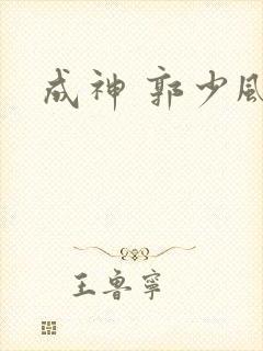 成神 郭少风封面