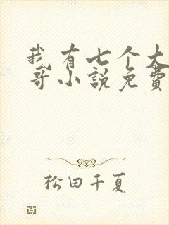 我有七个大佬哥哥小说免费阅读无弹窗