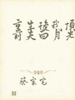 重生后我顶替了前夫白月光全