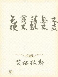 色翁荡息又大又硬又粗又爽小莹