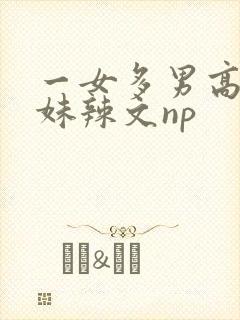 一女多男高h兄妹辣文np