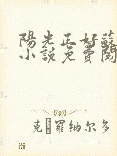 阳光正好苏玥玥小说免费阅读封面