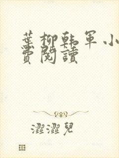 叶柳韩军小说免费阅读封面