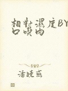 相对湿度BY大口吃肉