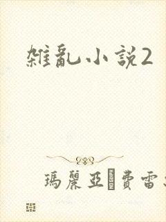杂乱小说2