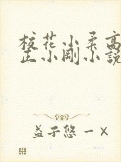 校花小柔高达小正小刚小说封面