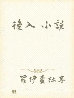 后入 小说