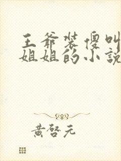 王爷装傻叫女主姐姐的小说