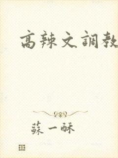 高辣文调教np