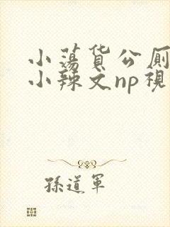小荡货公厕h文小辣文np视频