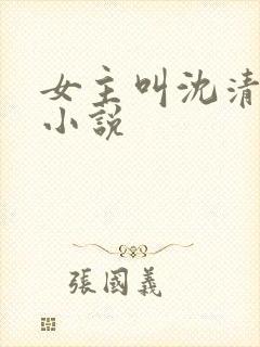 女主叫沈清欢的小说
