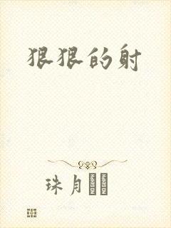 狠狠的射