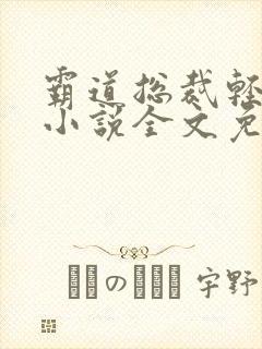 霸道总裁轻点宠小说全文免费阅读