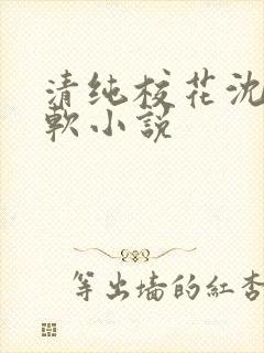 清纯校花沈越苏软小说