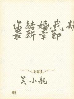 你结婚,我劫婚最新章节封面