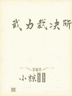 武力裁决所