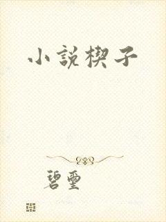 小说楔子