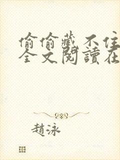 偷偷藏不住小说全文阅读在线