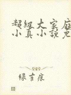 超级大家庭女友小真小说免费阅读小
