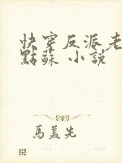 快穿反派老公有点苏 小说封面