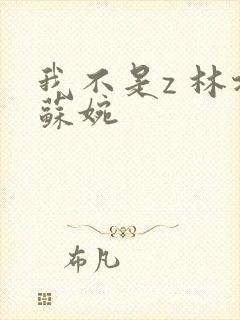 我不是z 林北苏婉