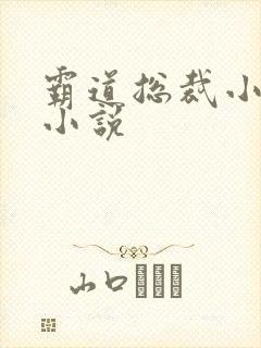 霸道总裁小娇妻小说