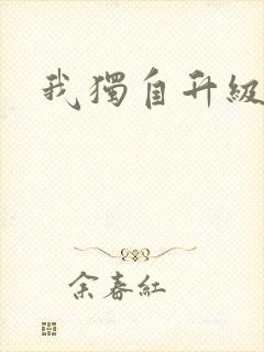 我独自升级漫画封面