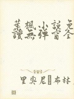 叶枫小说免费阅读无弹窗全文