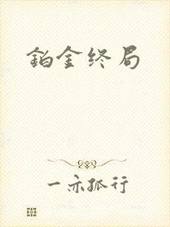 铂金终局