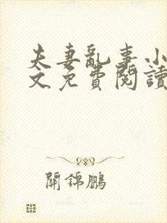 夫妻乱事小说全文免费阅读最新章节