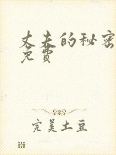 丈夫的秘密小说免费封面