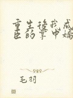 重生后我成了权臣的掌中娇作者