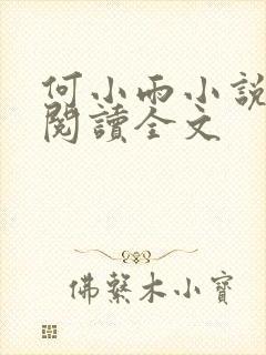 何小雨小说在线阅读全文