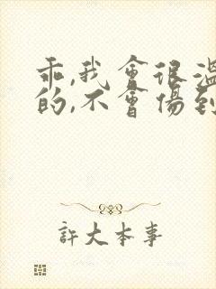 乖,我会很温柔的,不会伤到你小说封面