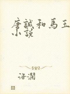 唐诚和马玉婷的小说