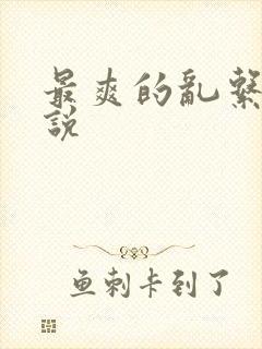 最爽的乱系列小说