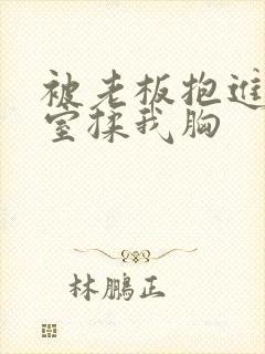 被老板抱进办公室揉我胸封面